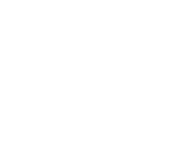 Lions Equipment